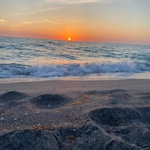 Meet your Posher, Ella